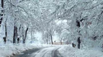 منخفض جوي يضرب لبنان مع أمطار غزيرة وثلوج وتدنٍ كبير بالحرارة